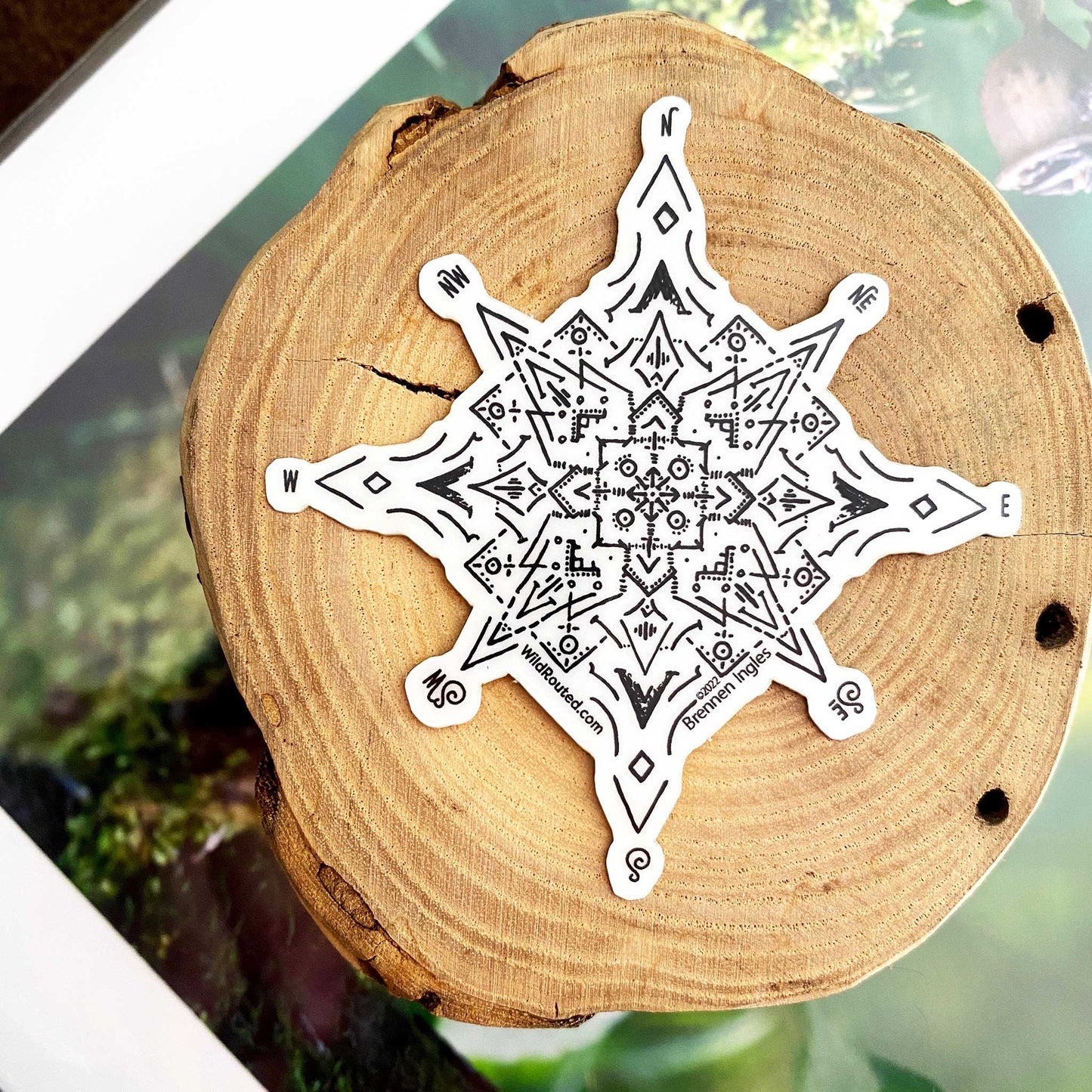 Wild Routed Glow in the Dark Compass Sticker in daylight