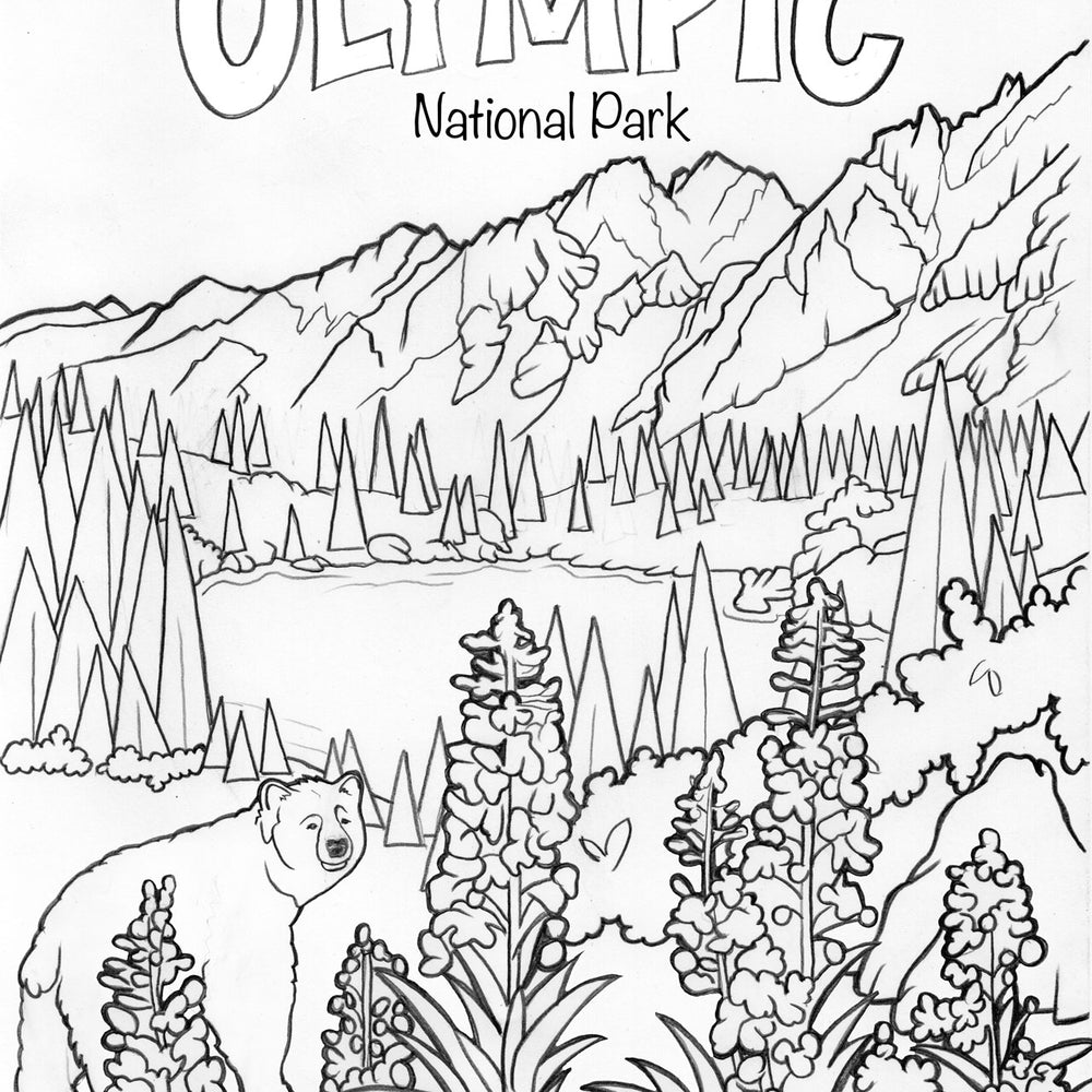 Olympic National Park coloring book cover