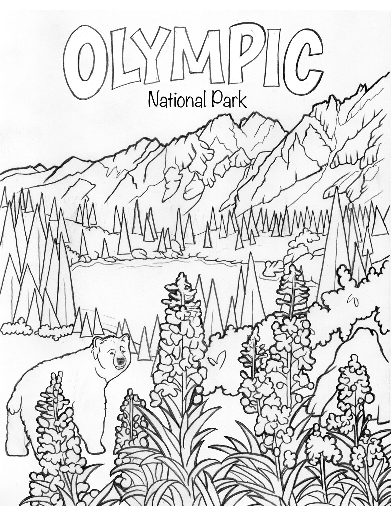Olympic National Park coloring book cover