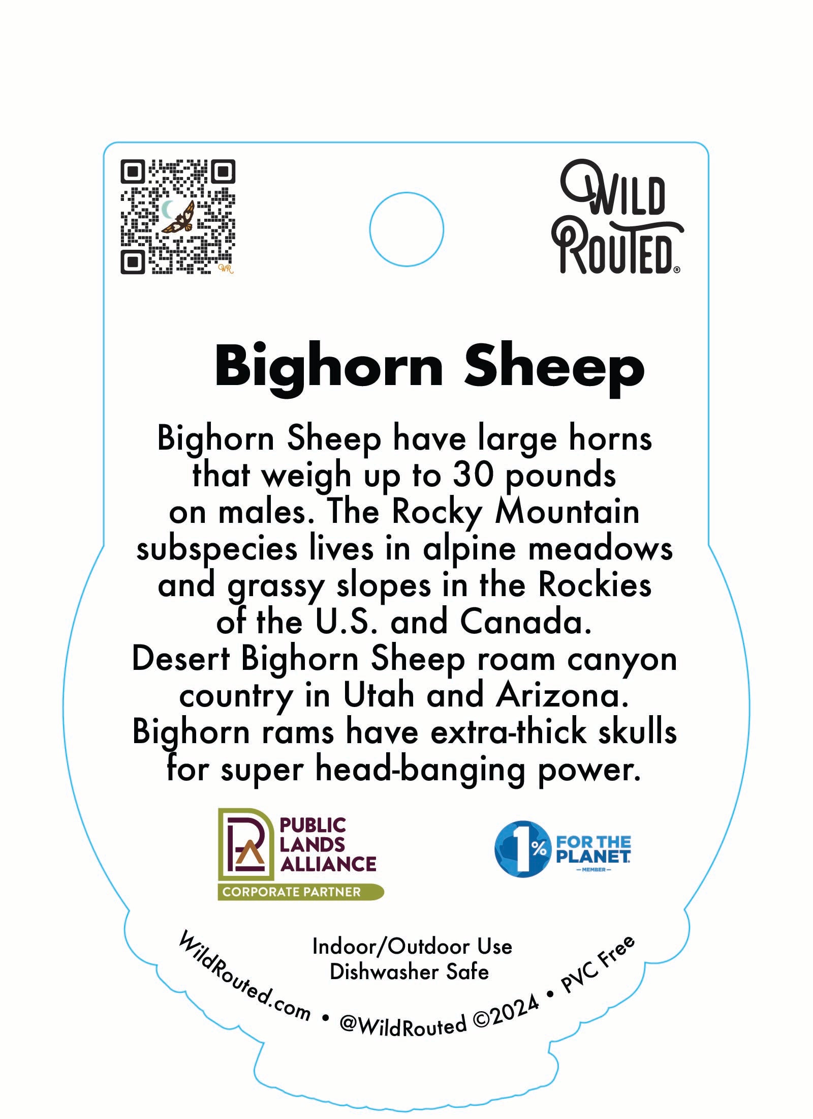 Bighorn Sheep Namedrop Design – Wild Routed