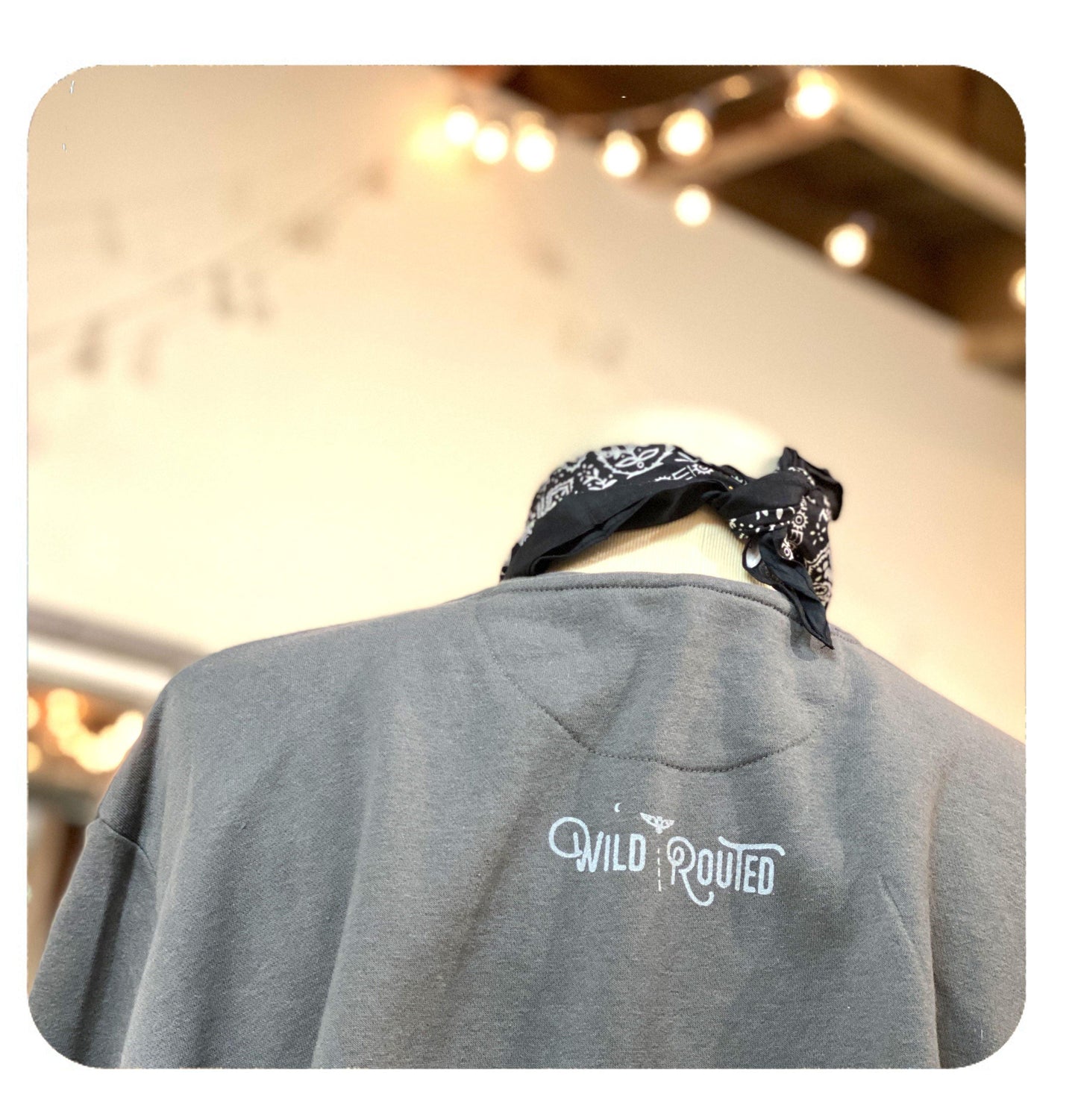 Wild Routed Share Stories Back Adult Sweatshirt Next Level