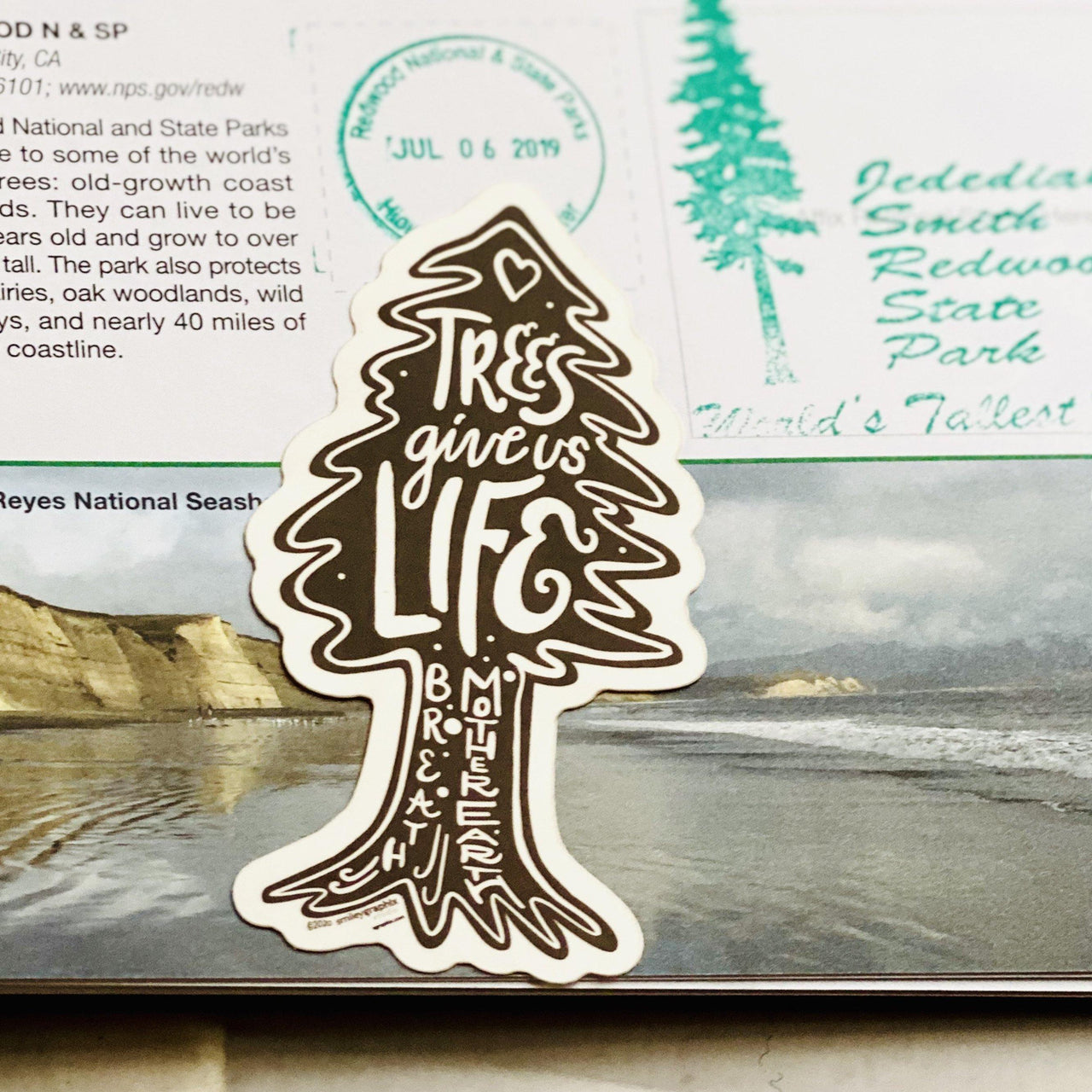 Trees Give Us Life Sticker Redwood Forest