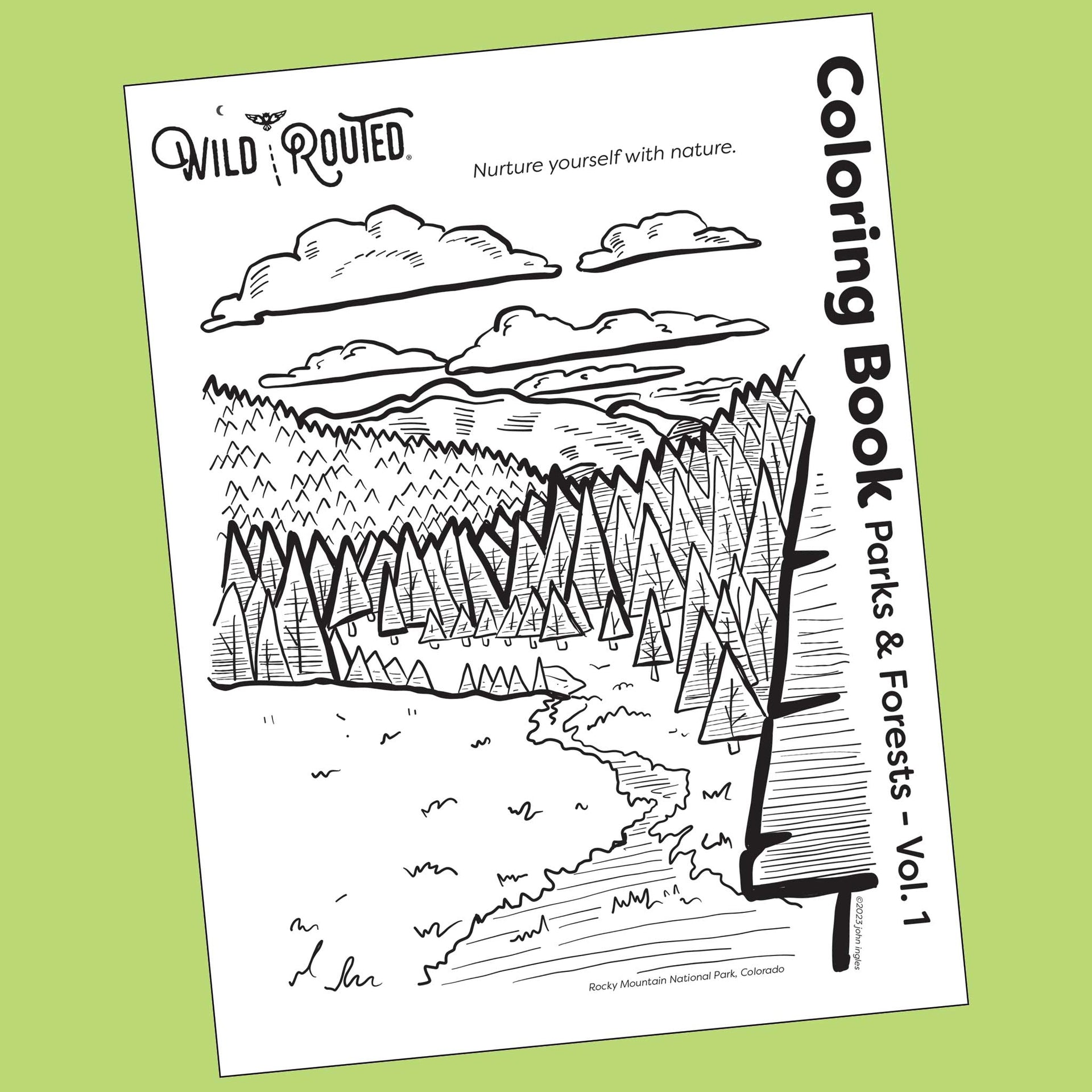 Woodland Coloring Book Adult Coloring Book 30 Pages Forest